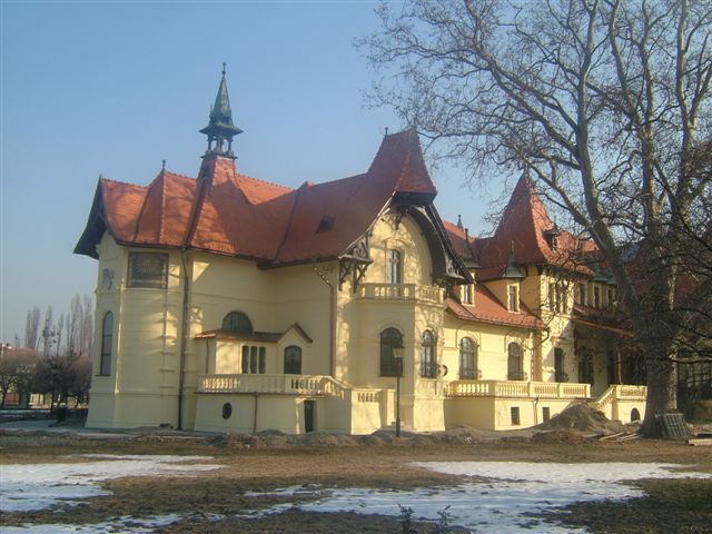 Tím profesionálov